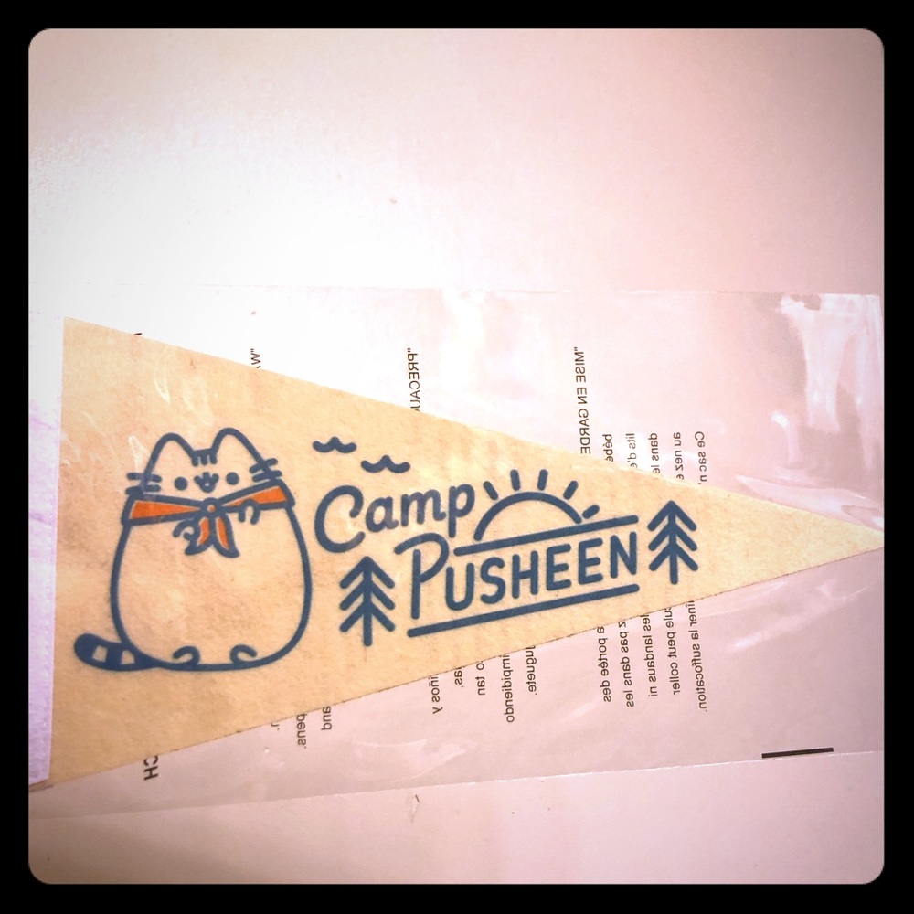 Camp Pusheen Pennant Flag